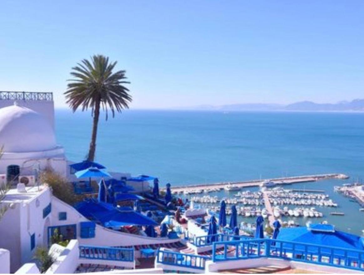 Un emplacement exceptionnel Tunis Extérieur photo